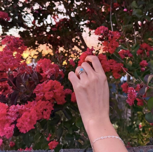 A silver chain bracelet on a wrist, reaching into red blossoms